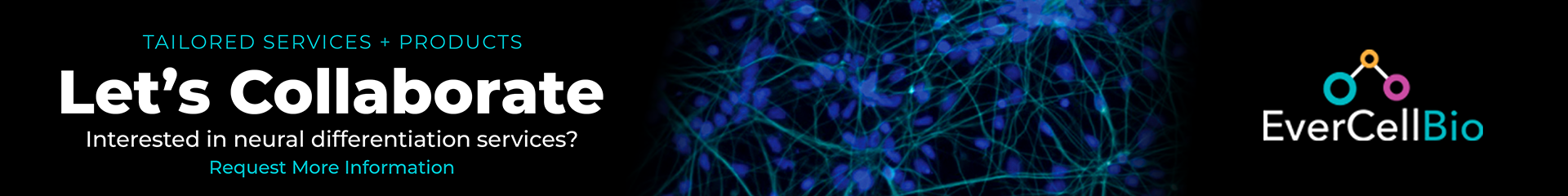 EverCell Bio Differentiation Services - Contact Us to Learn More