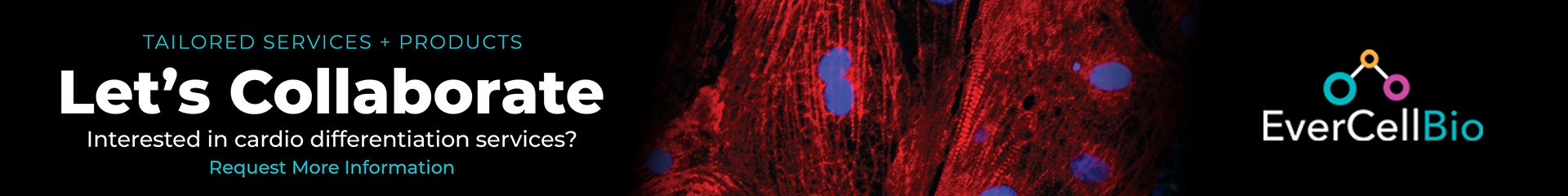 Request more information about our Cardio Differentiation Services