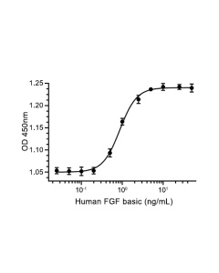 bFGF (K128N), Human