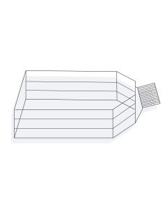 Cell Culture Flasks, 3-Layer, Plug Seal Cap