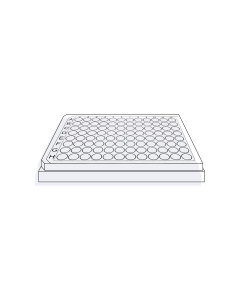 96 Well Plate, U-bottom, TC-Treated