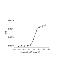 IL-15 Protein, Human