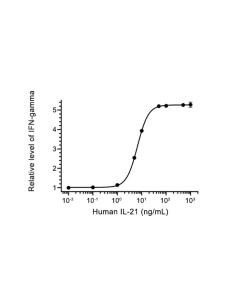 IL-21 Protein, Human
