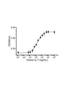 IL-7 Protein, Human, HEK293