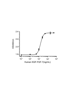 KGF/FGF-7 Protein, Human