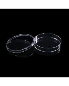 Petri Dish, 150mm