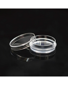 35mm Culture Dish, with Gripping Ring