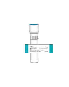 SCF, Human, HEK293