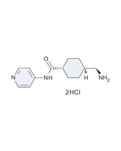 Y-27632 (2HCl)