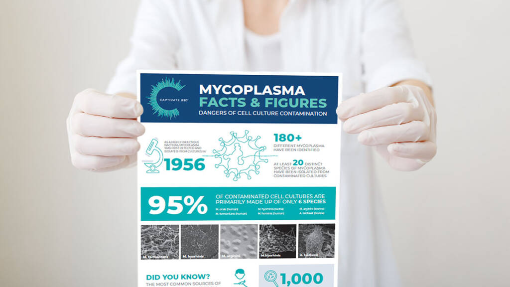 Captivate Bio Mycoplasma Contamination Infographic