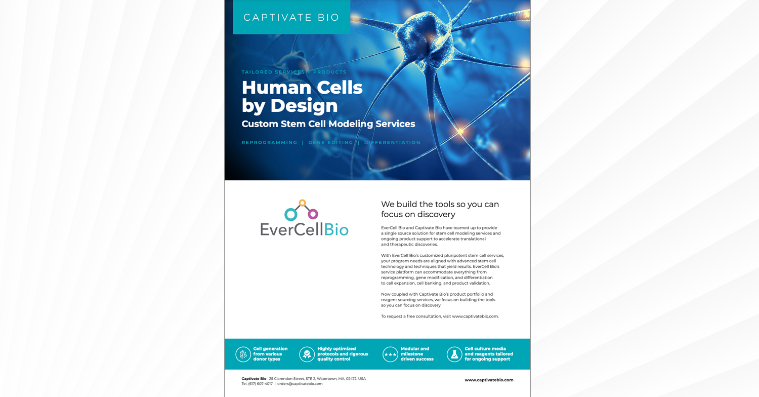 Stem Cell Modeling Services Powered by EverCell Bio