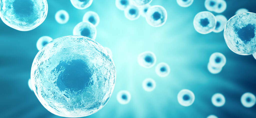 Exosome-Depleted FBS from Captivate Bio